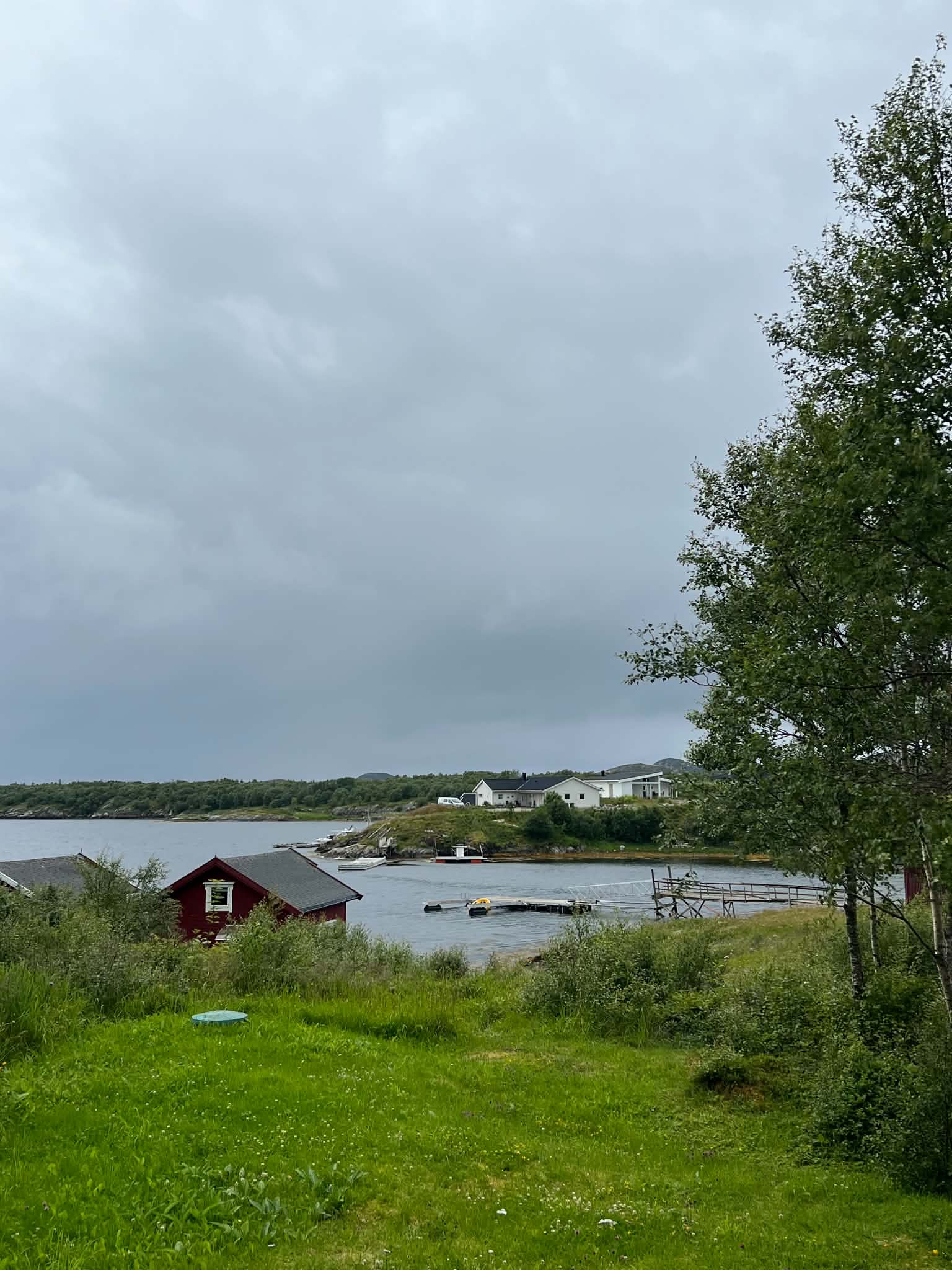 View across grass and trees towards the shoreline and docks on Herøy
