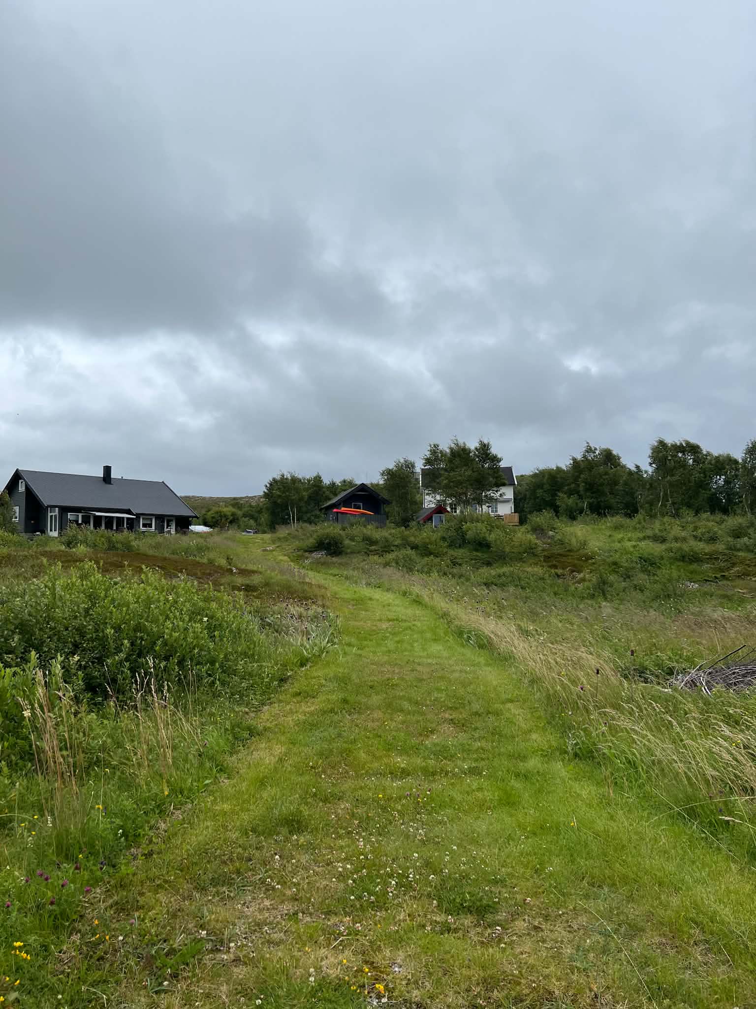 Green grass path leading towards coastal houses on Herøy
